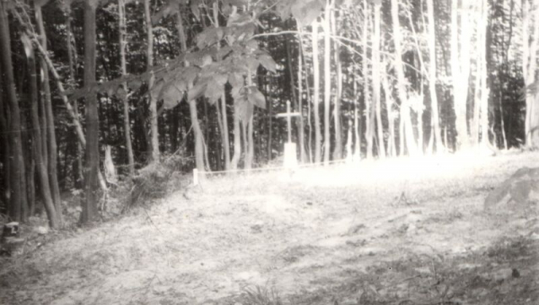 Історія зв’язкової УПА на псевдо «Біла». Спогад із музейної полиці