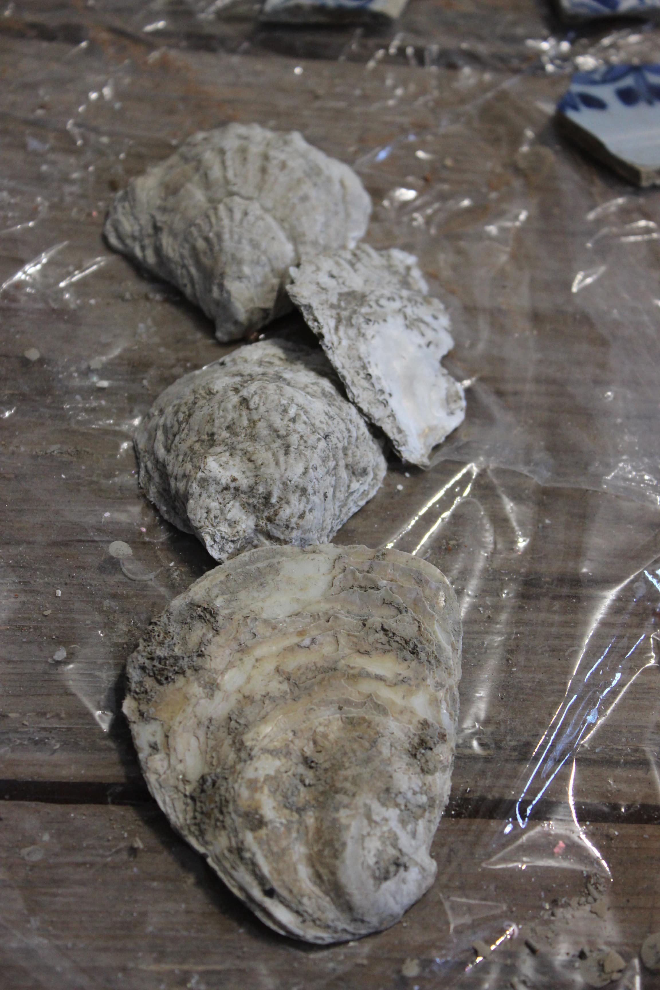 Археологічні знахідки біля замкових мурів. Фото 6