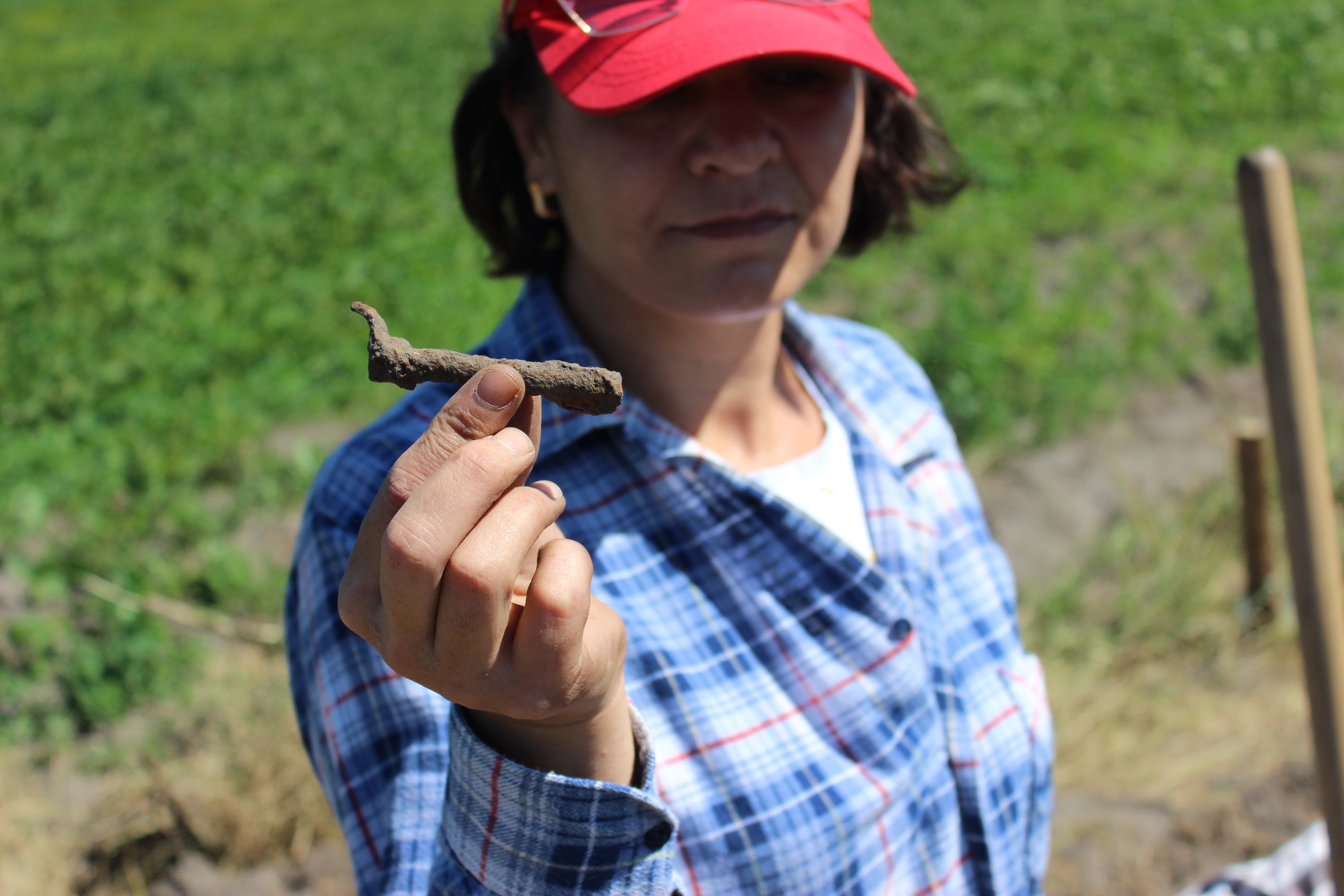 Острів Дубовець. Повернення. Фото 3