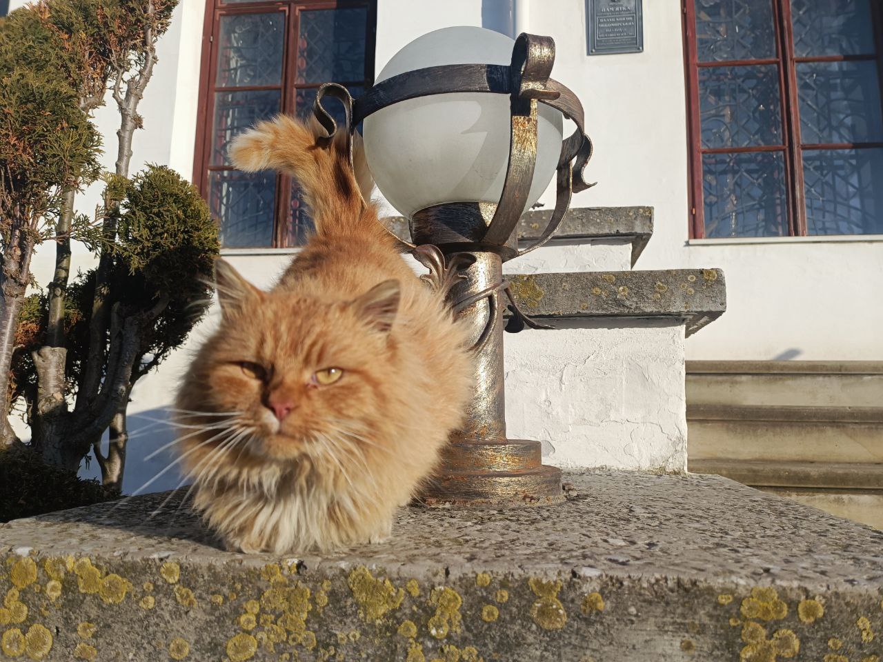 З 1 квітня в Дубенському замку змінюються ціни