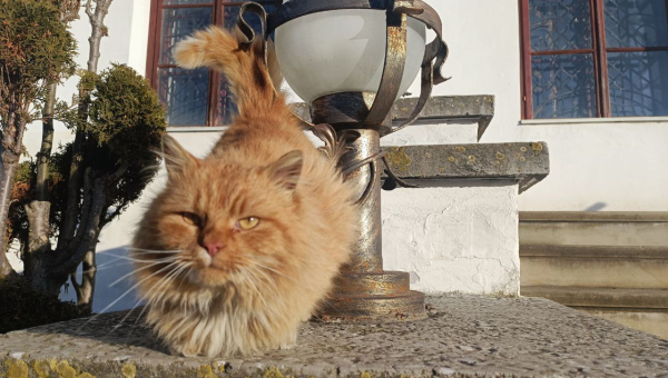 З 1 квітня в Дубенському замку змінюються ціни