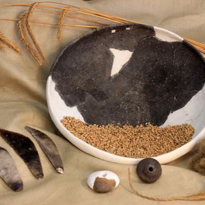 Зображення 29