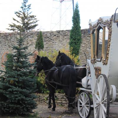 Зображено білу карету