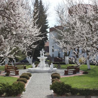 Подвір'я замку