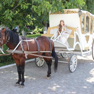 Зображено подвір'я Дубенського замку